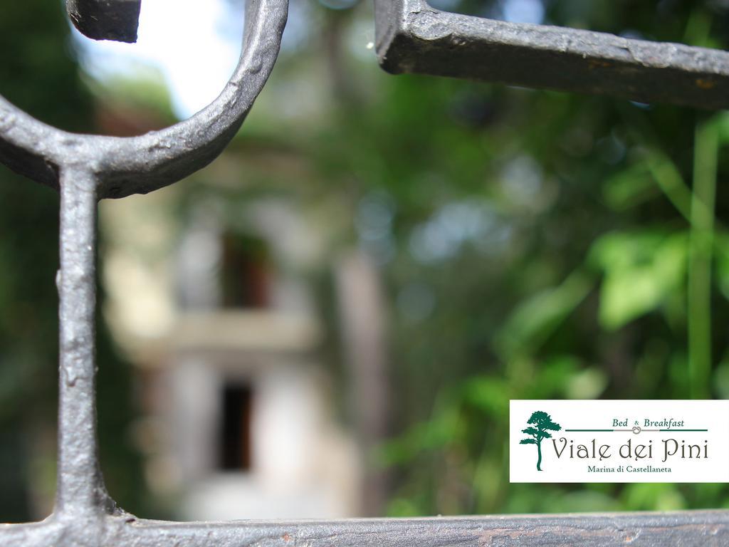 קסטלנטה מרינה B&B Viale Dei Pini מראה חיצוני תמונה