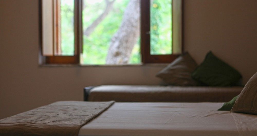 קסטלנטה מרינה B&B Viale Dei Pini מראה חיצוני תמונה