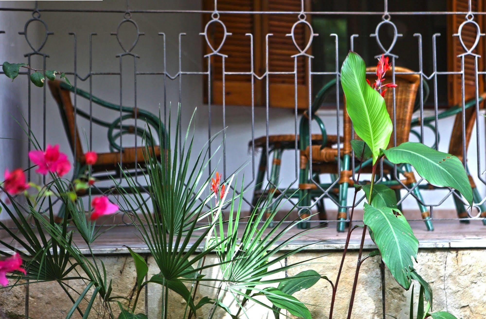 קסטלנטה מרינה B&B Viale Dei Pini מראה חיצוני תמונה
