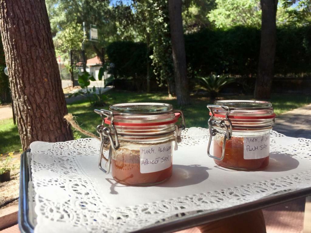 קסטלנטה מרינה B&B Viale Dei Pini מראה חיצוני תמונה